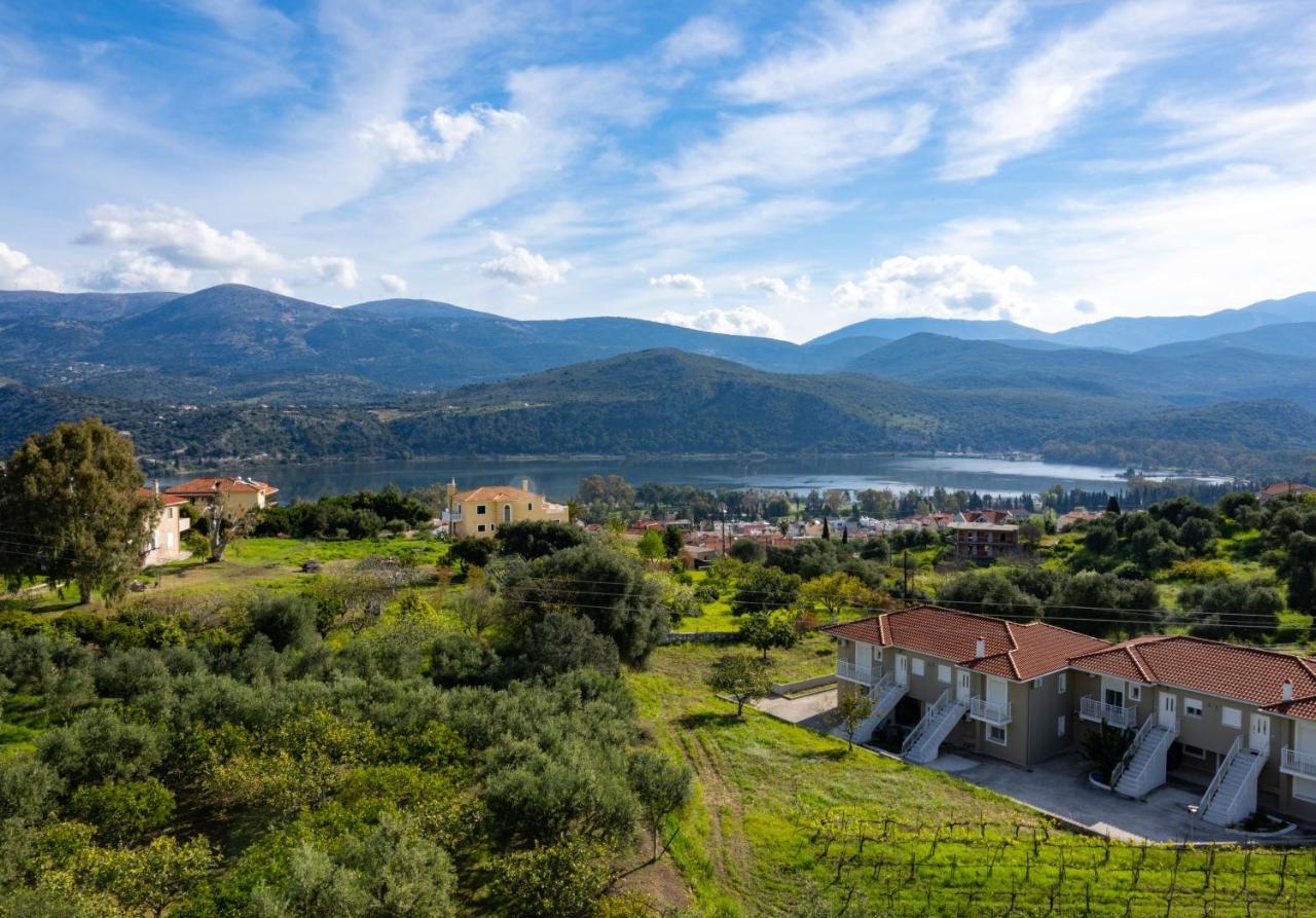 Apaggio Di Argostoli Apartments - Private Parking & Sea View Eksteriør billede